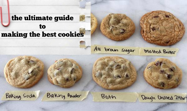 cookie-science