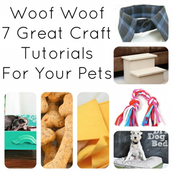 pet-dog-DIY-Tutorial