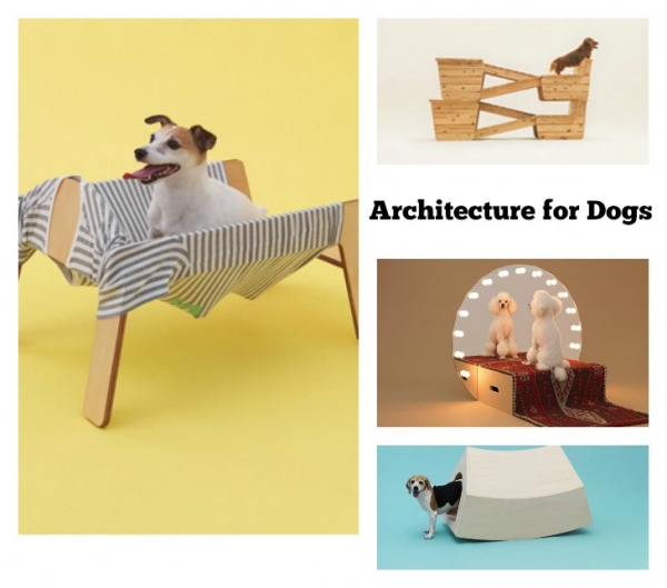 dogs-architecture