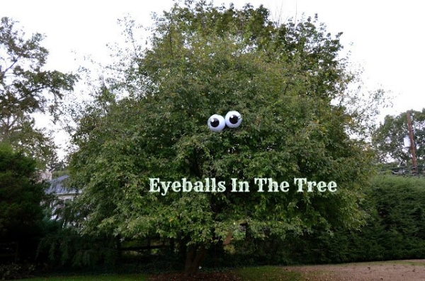 eyeballs-tree