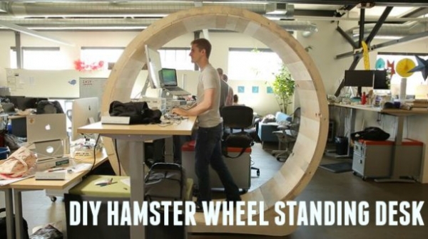 diy-hamster-wheel-standing-desk