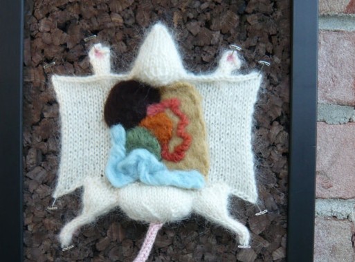 knitted-dissected-rat