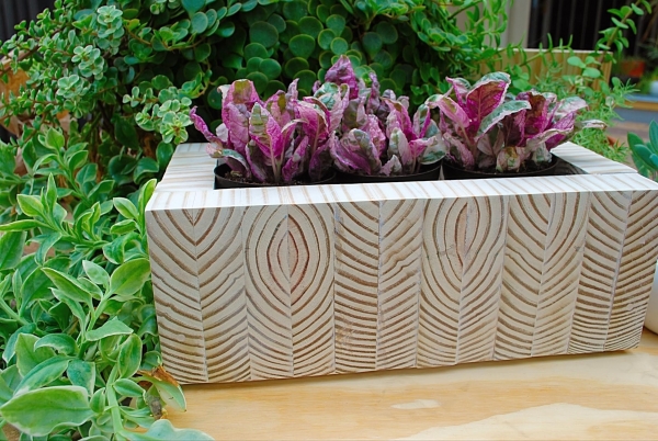 DIY Staggered End-Grain Perennial Planter