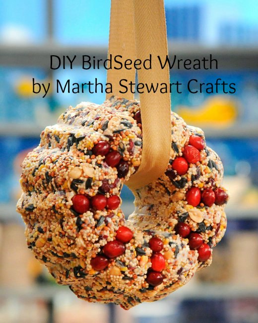 Diy Birdseed Wreath Craft Gossip