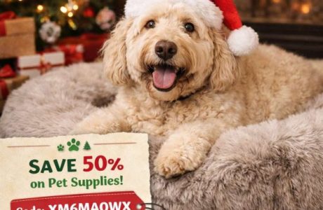 Christmas Pet Gift Deal You Don’t Want to Miss